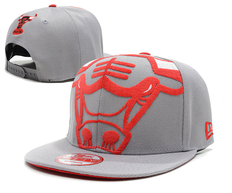 NBA Chicago Bulls NE Snapback Hat #178